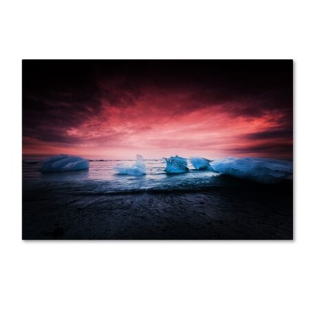Trademark Fine Art Philippe Sainte-Laudy 'Apocalyptic Beauty' Canvas Art, 16x24 PSL0603-C1624GG